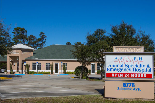 Animal Surgery & Emergency Hospital