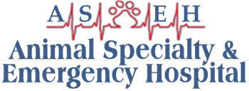 Animal Specialty and Emergency Hospital